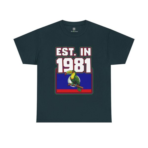 1981 Toucan Retro T‑Shirt — Established 1981 Vintage Bird Graphic Tee